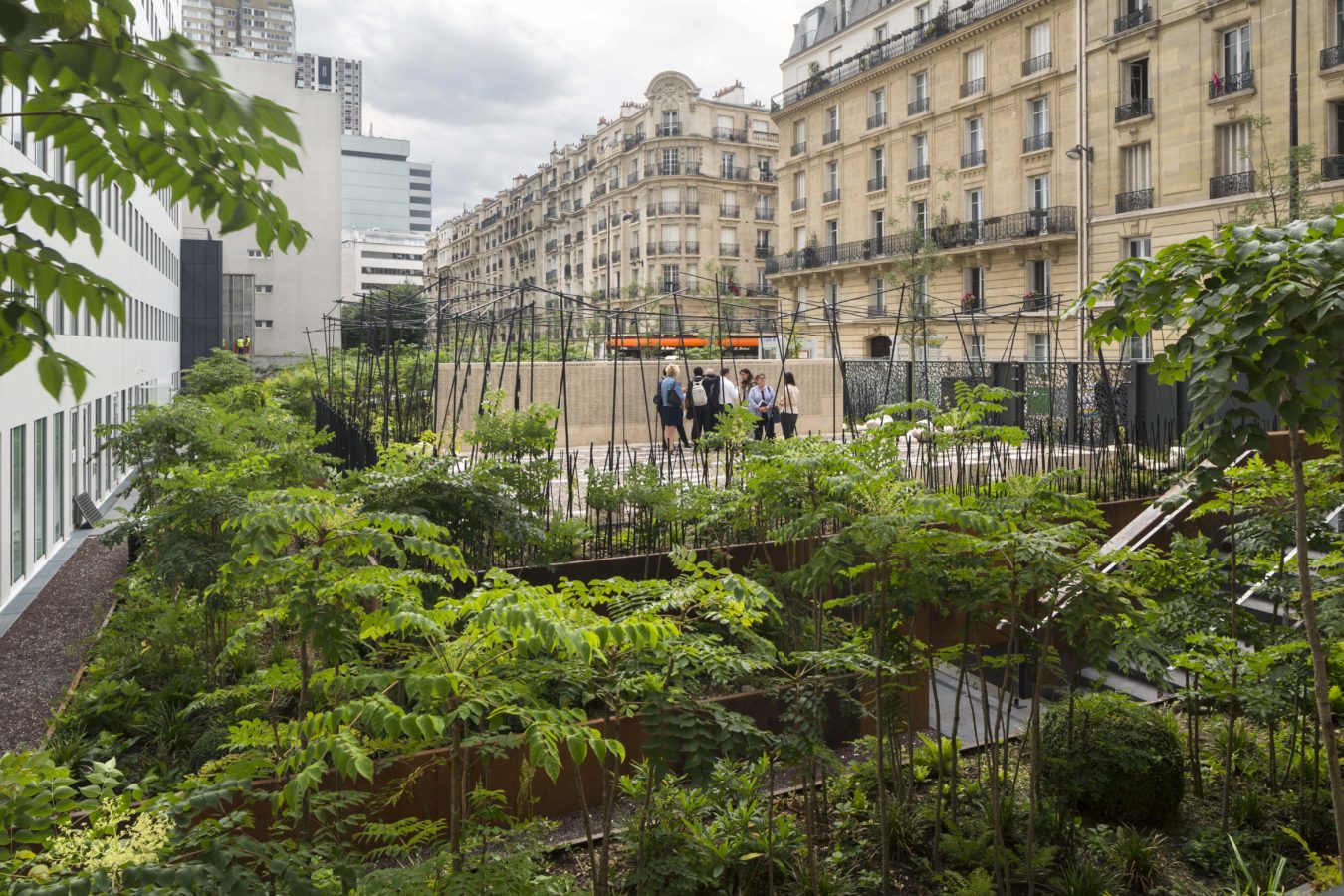 PARIS – Jardin du Vel d’Hiv - Mutabilis