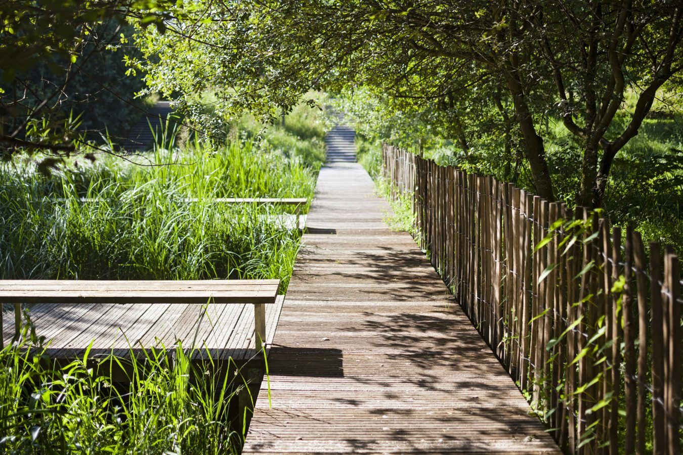 Parc du Chemin de l’Ile - Mutabilis