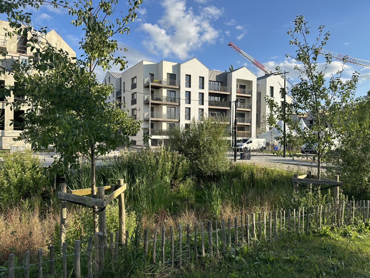 Le Parc des Oiseaux, Ecoquartier de l’Ile de la Marne - Mutabilis