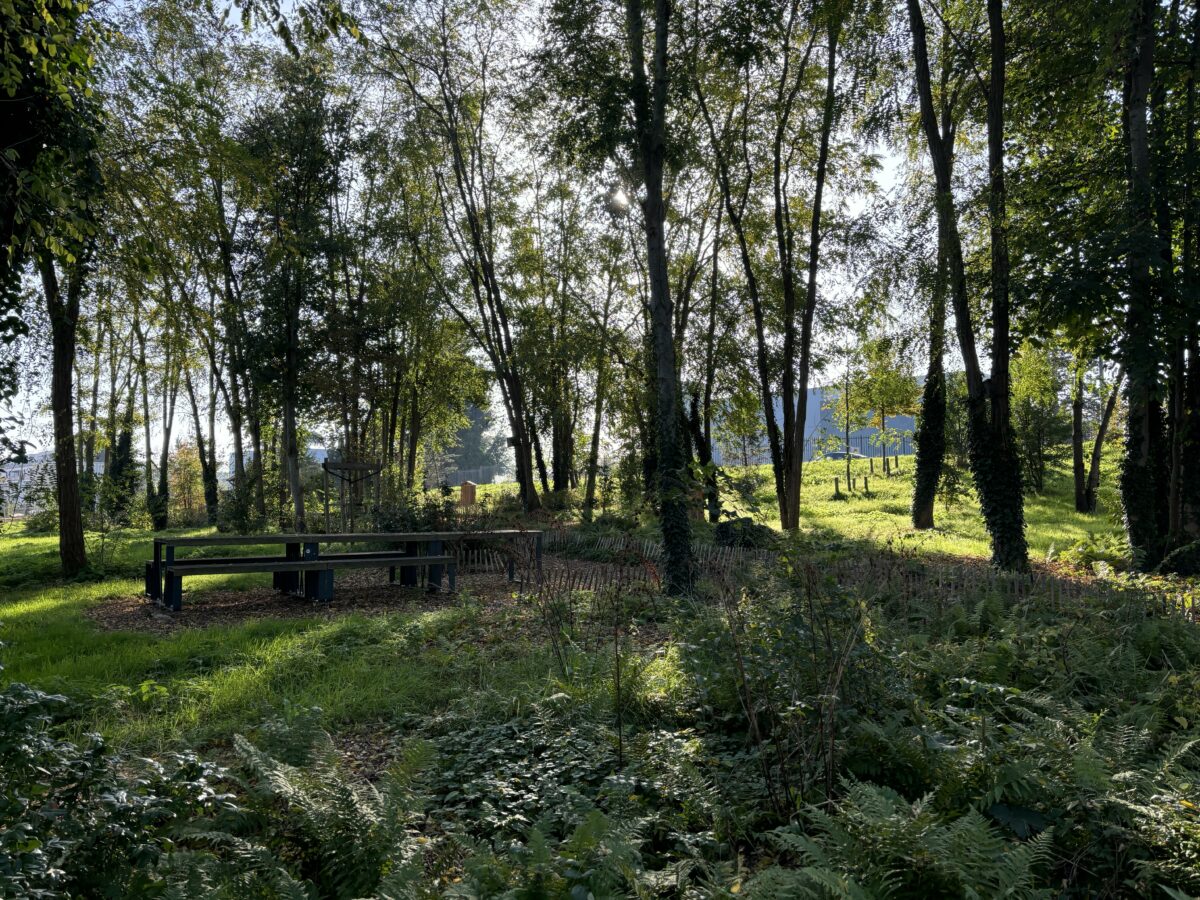 Le Parc des Oiseaux, Ecoquartier de l’Ile de la Marne - Mutabilis