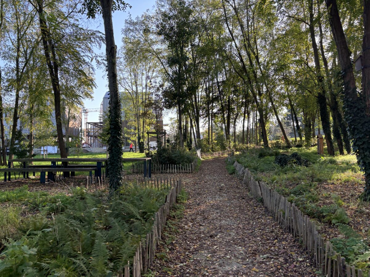 Le Parc des Oiseaux, Ecoquartier de l’Ile de la Marne - Mutabilis