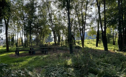 Le Parc des Oiseaux, Ecoquartier de l’Ile de la Marne - Mutabilis